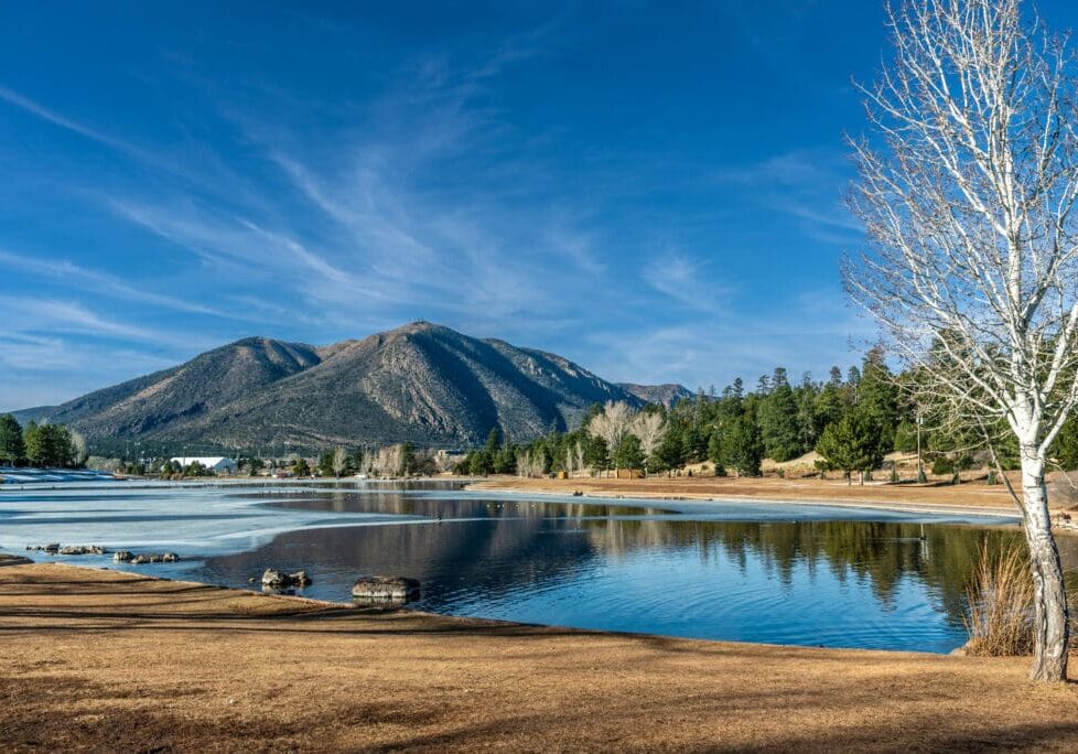 LAND AND WATER DEVELOPMENT ADVISORS